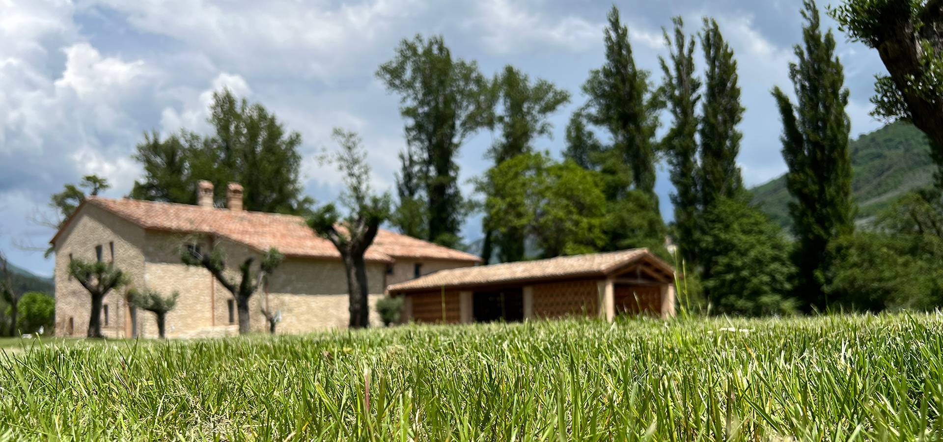 mulino_01